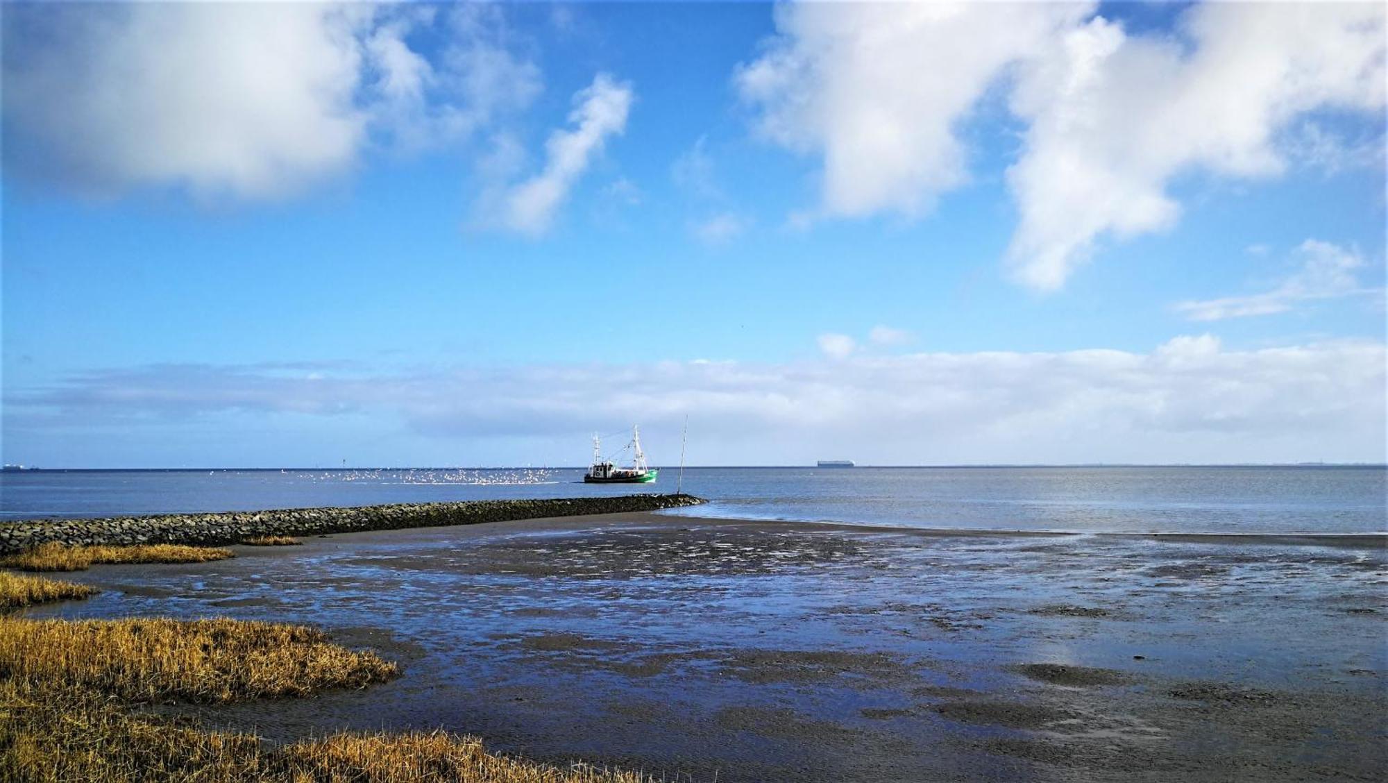Nordsee Urlaubsparadies Apartment Butjadingen